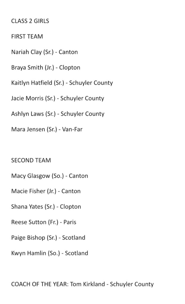 Congratulations to Paige Bishop, Kwyn Hamlin, and Vince Dale for making the Media All District Basketball Teams.